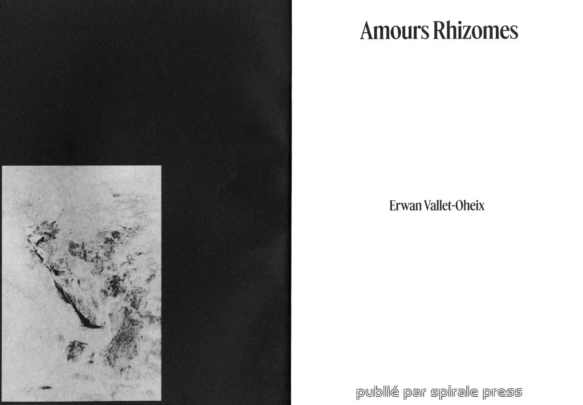 AmoursRhizomes_2.jpg